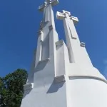 Vil0010