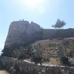 LEF0005