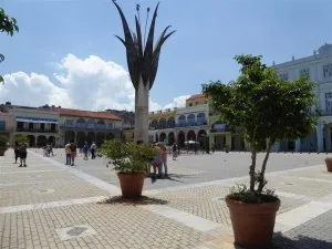 VIEJA0004